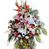 ʢʻٵ