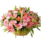 万盛鲜花速递